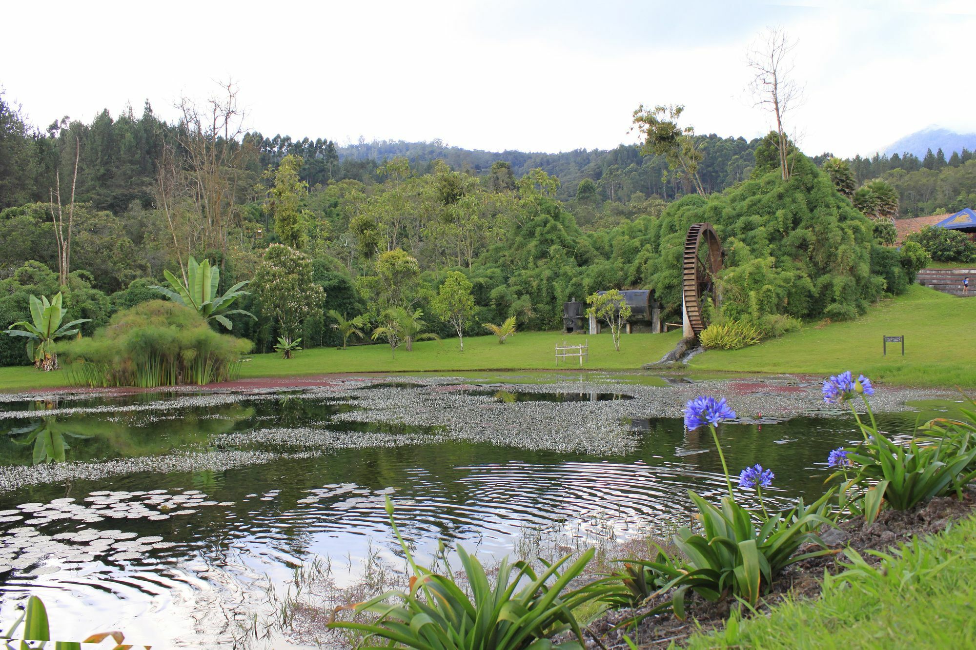 Estelar Recinto Del Pensamiento Hotel Y Centro De Convenciones Manizales Eksteriør billede